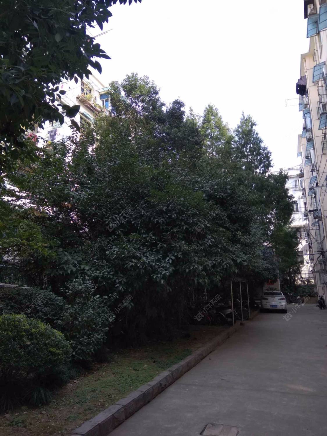 上海宁波小区小区_宁波小区小区null