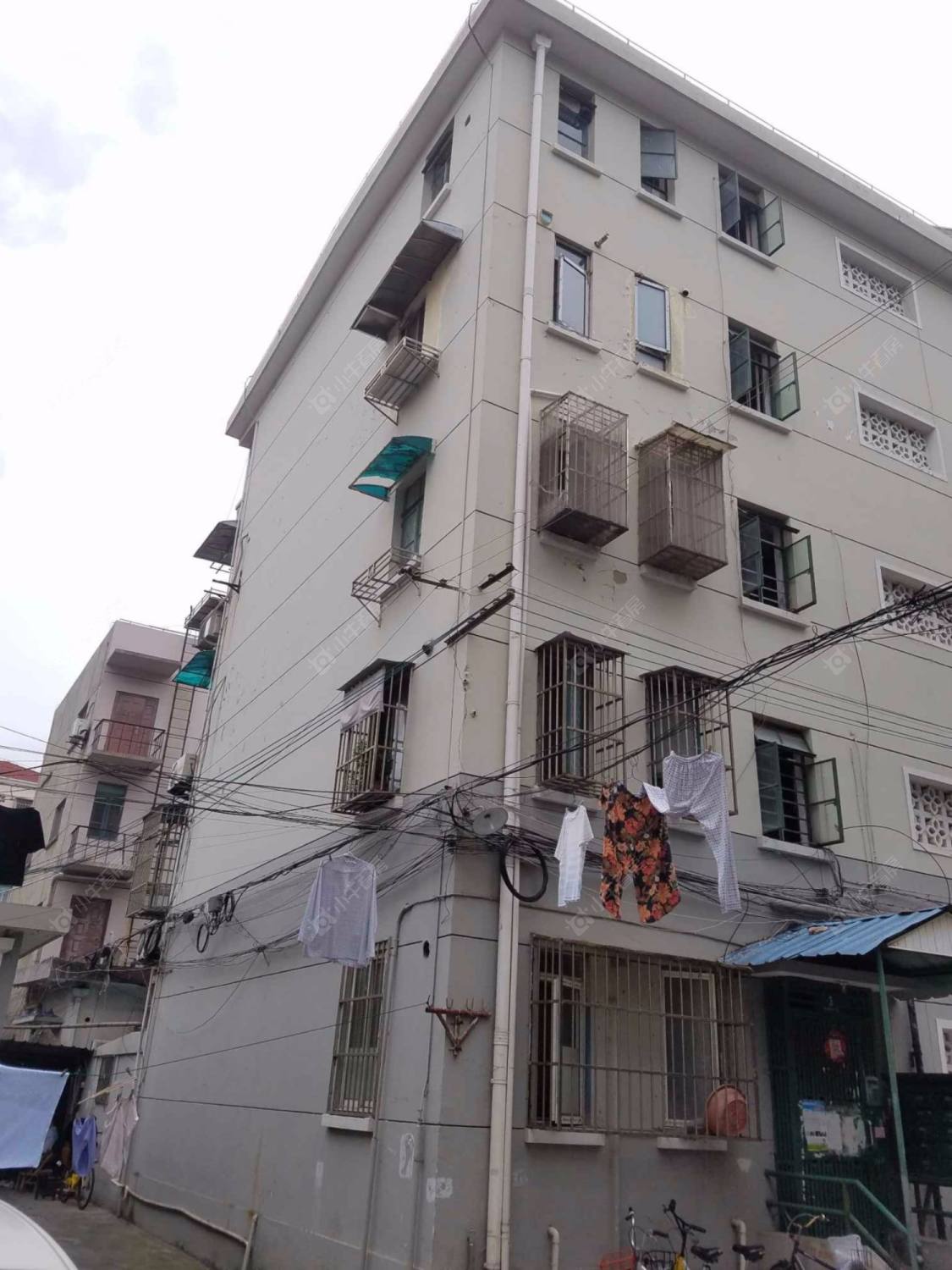 上海韶嘉路51弄小区_韶嘉路51弄小区null