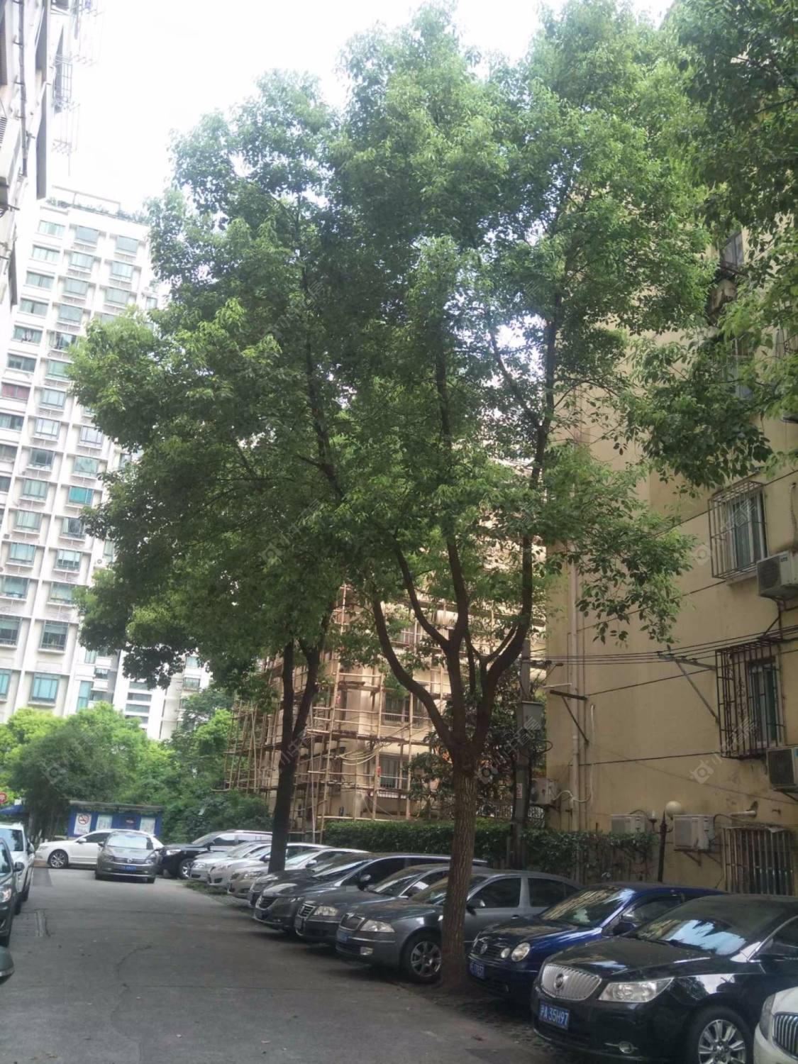 上海康定汽车公寓小区_康定汽车公寓小区null