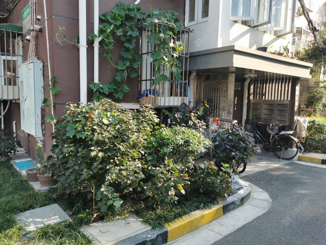 上海佳宝四村小区_佳宝四村小区null