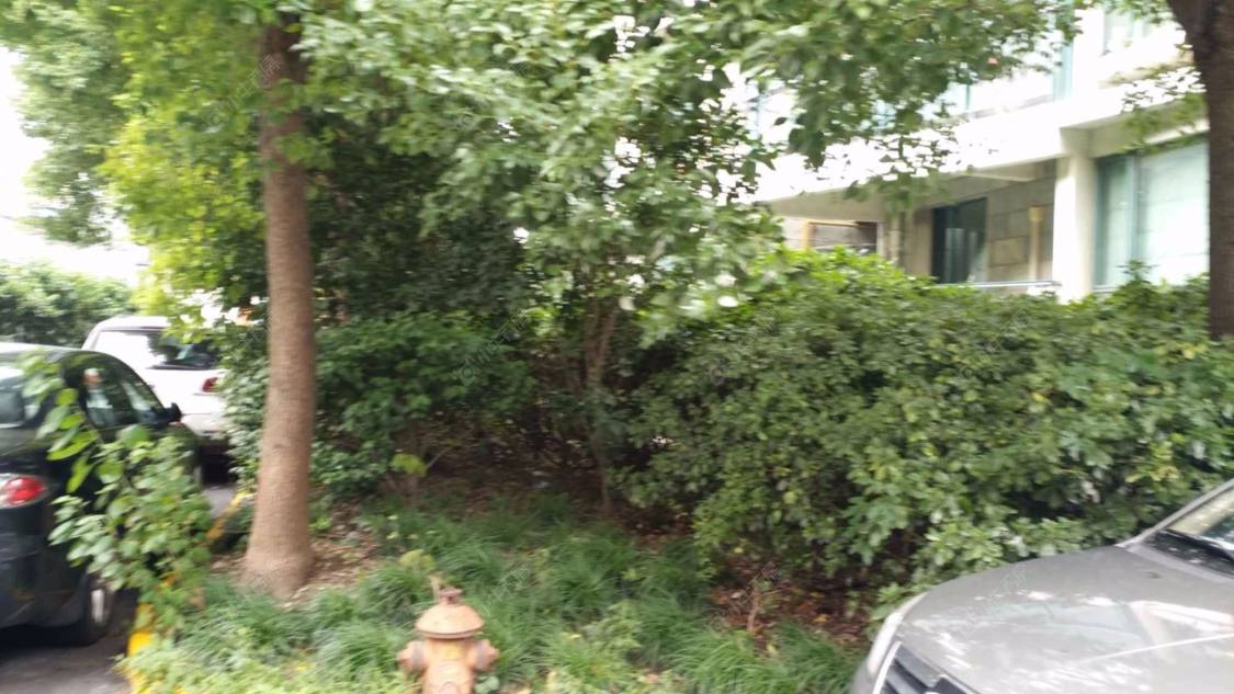 上海锦馨公寓小区_锦馨公寓小区null