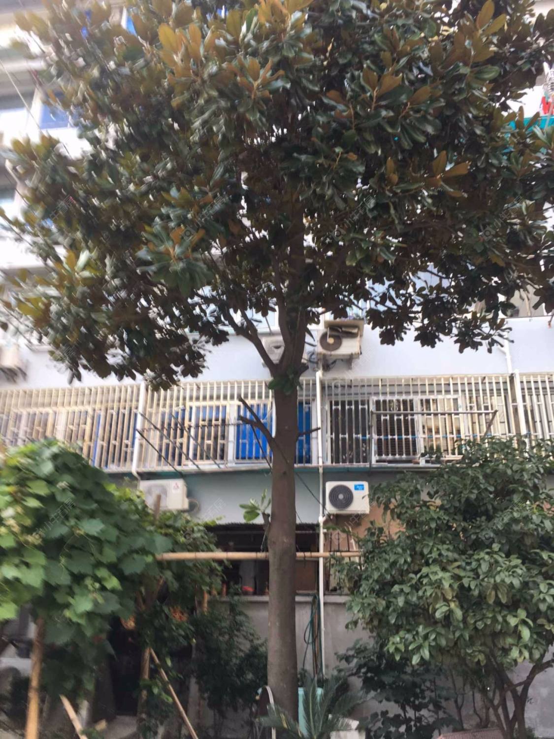 上海宝昌路847弄小区_宝昌路847弄小区null