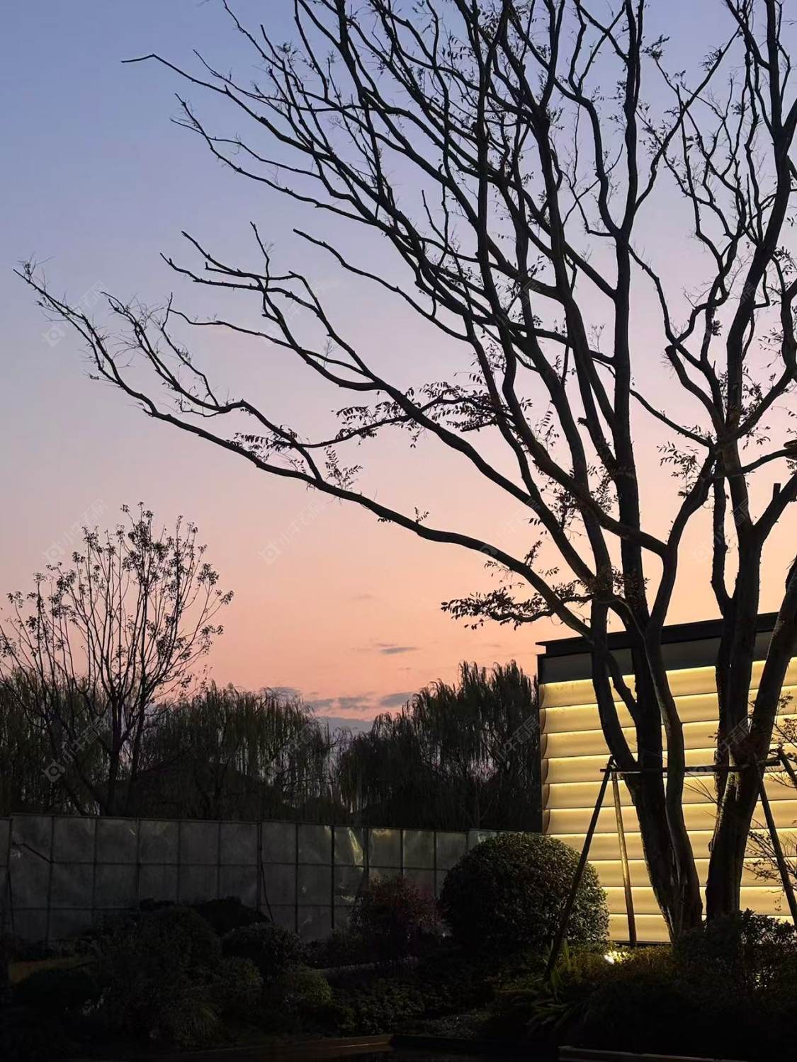 上海印象青城小区_印象青城小区null