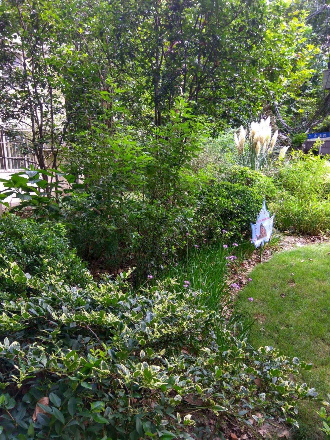 上海复兴西路49弄小区_复兴西路49弄小区null