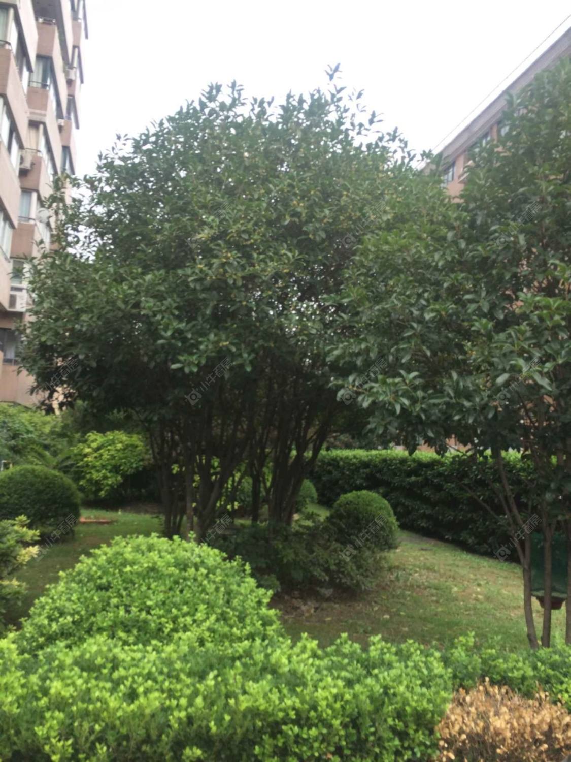 上海仁达公寓小区_仁达公寓小区实景图