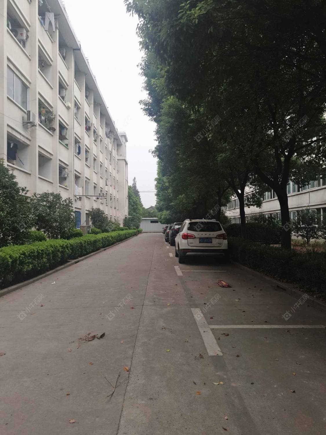 上海李家科盛公寓小区_李家科盛公寓小区实景图