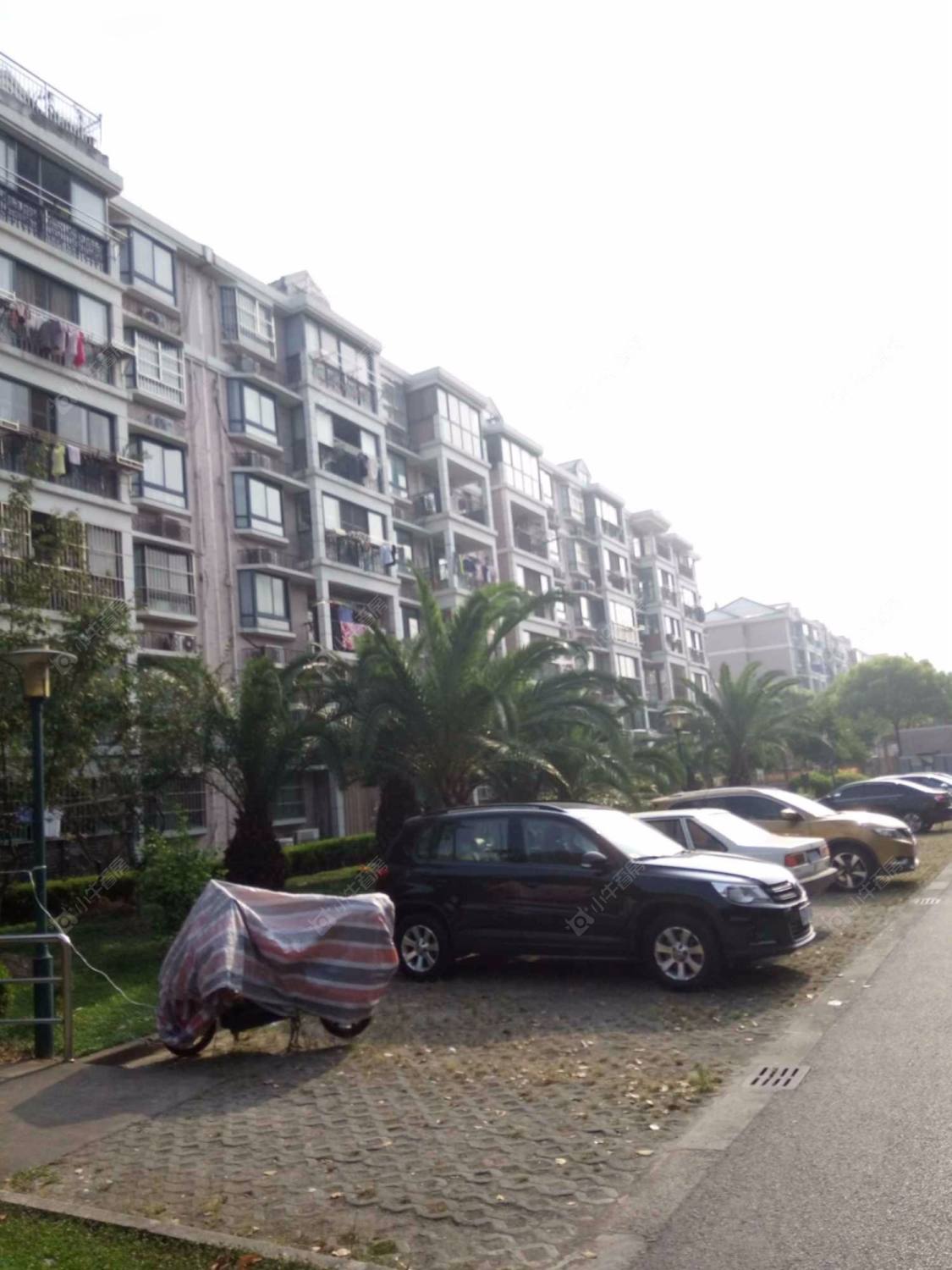 上海欣菊苑小区_欣菊苑小区null