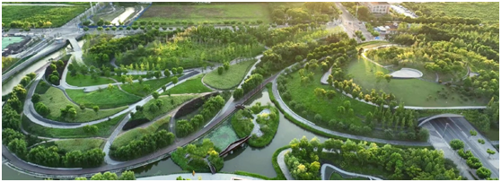 上海宝华紫薇之星在售新楼盘配套图