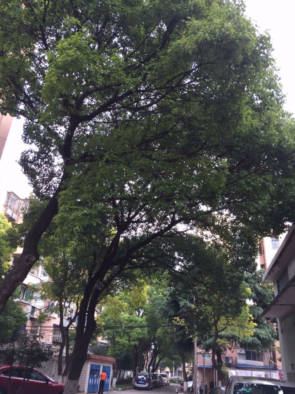 上海临江三村小区_临江三村小区null