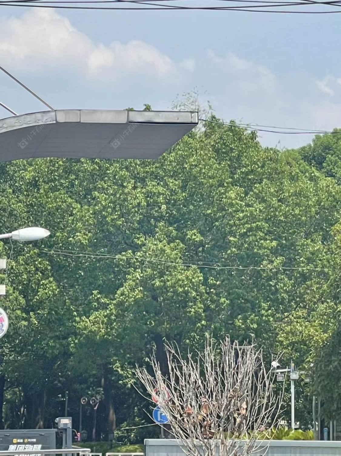 上海颐河苑小区_颐河苑小区null