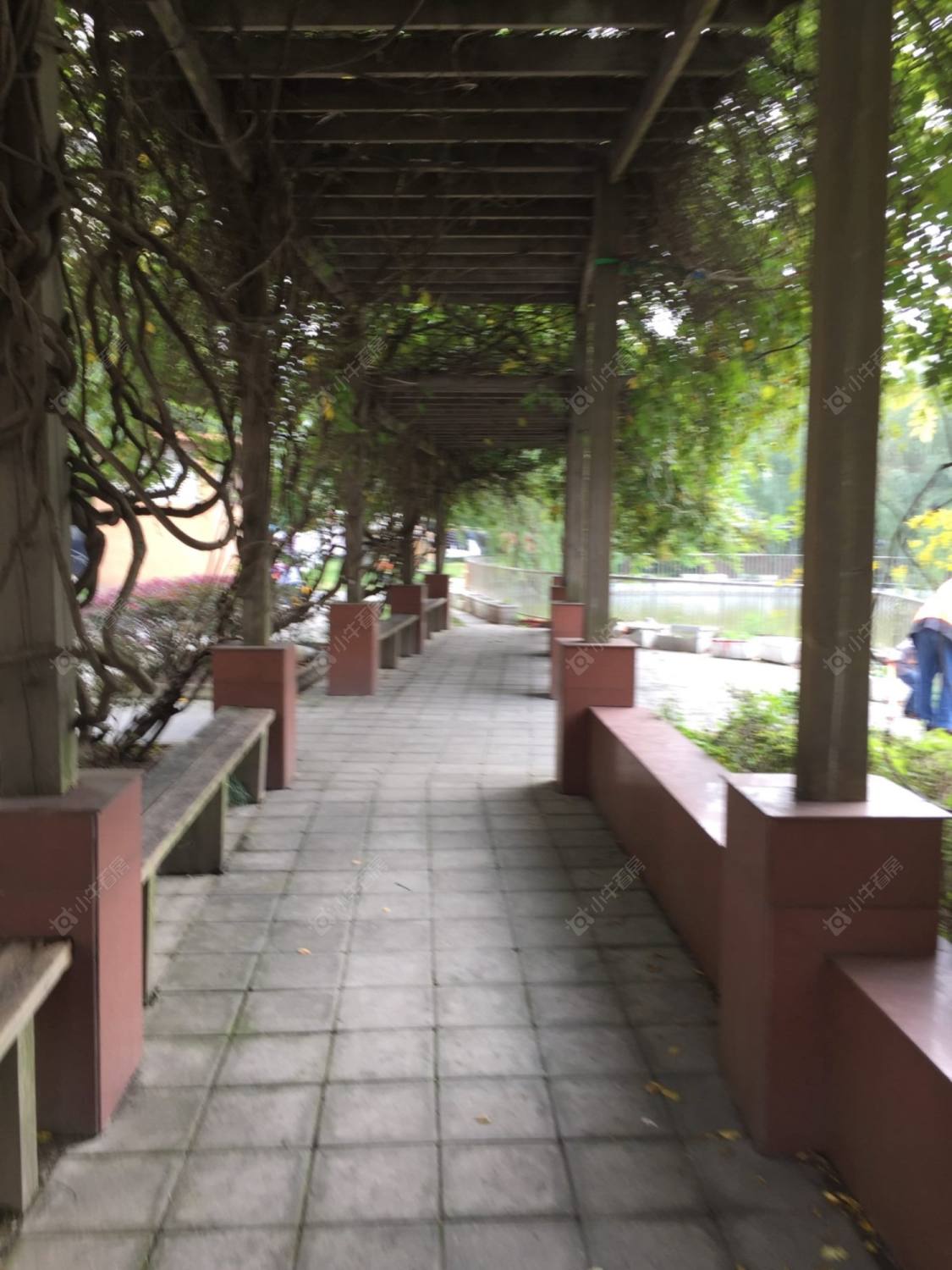 上海环绿国际别墅区小区_环绿国际别墅区小区null