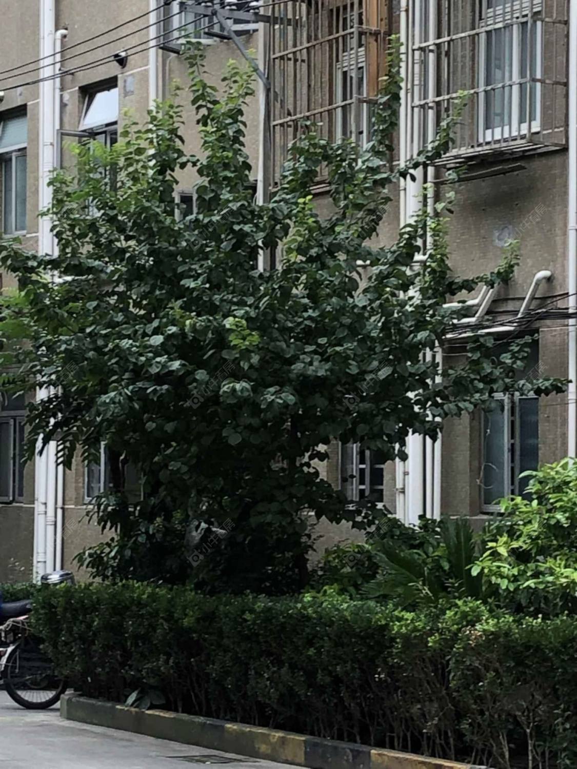 上海虹南公寓小区_虹南公寓小区null