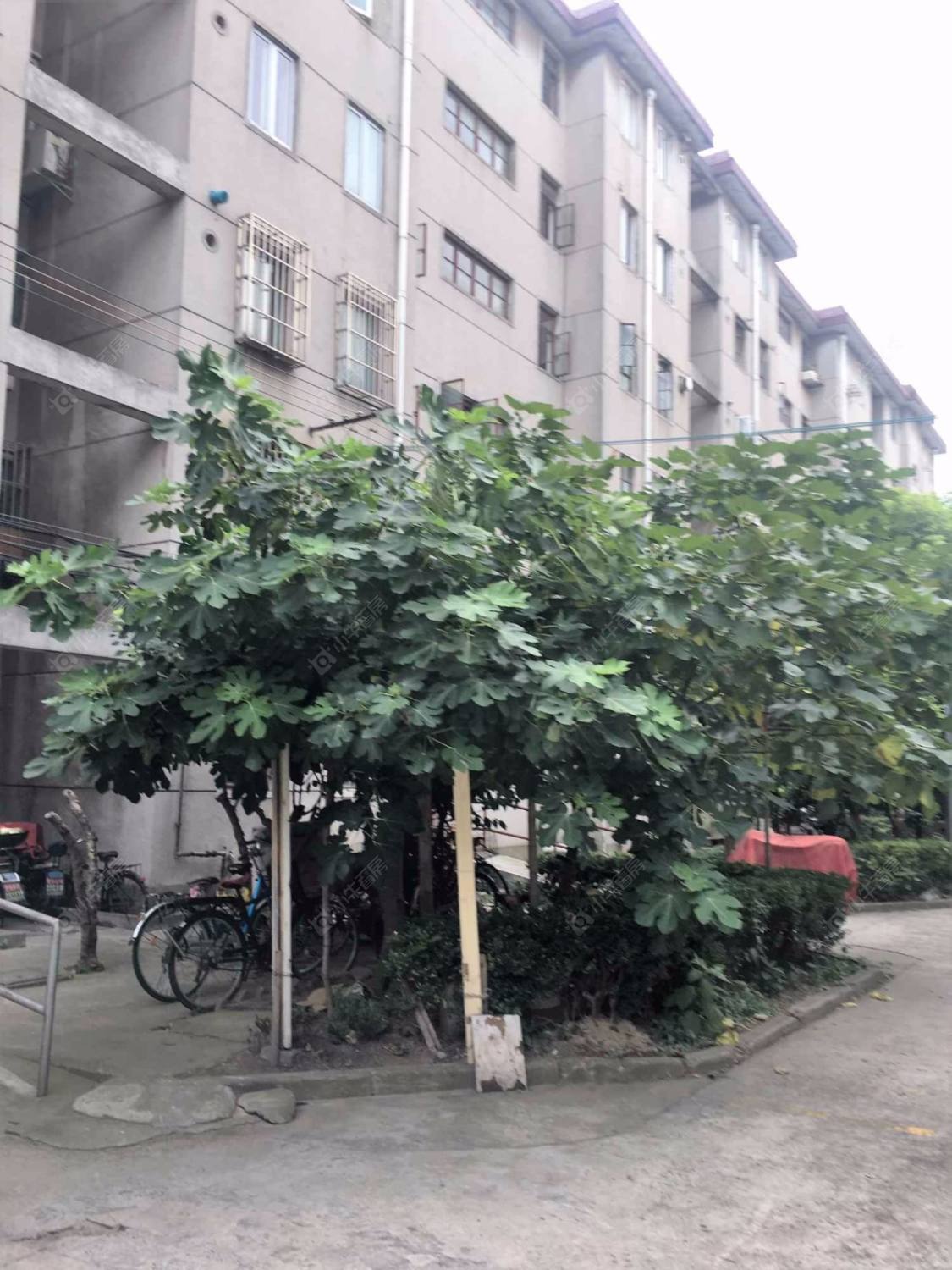 上海双城路650弄小区_双城路650弄小区null