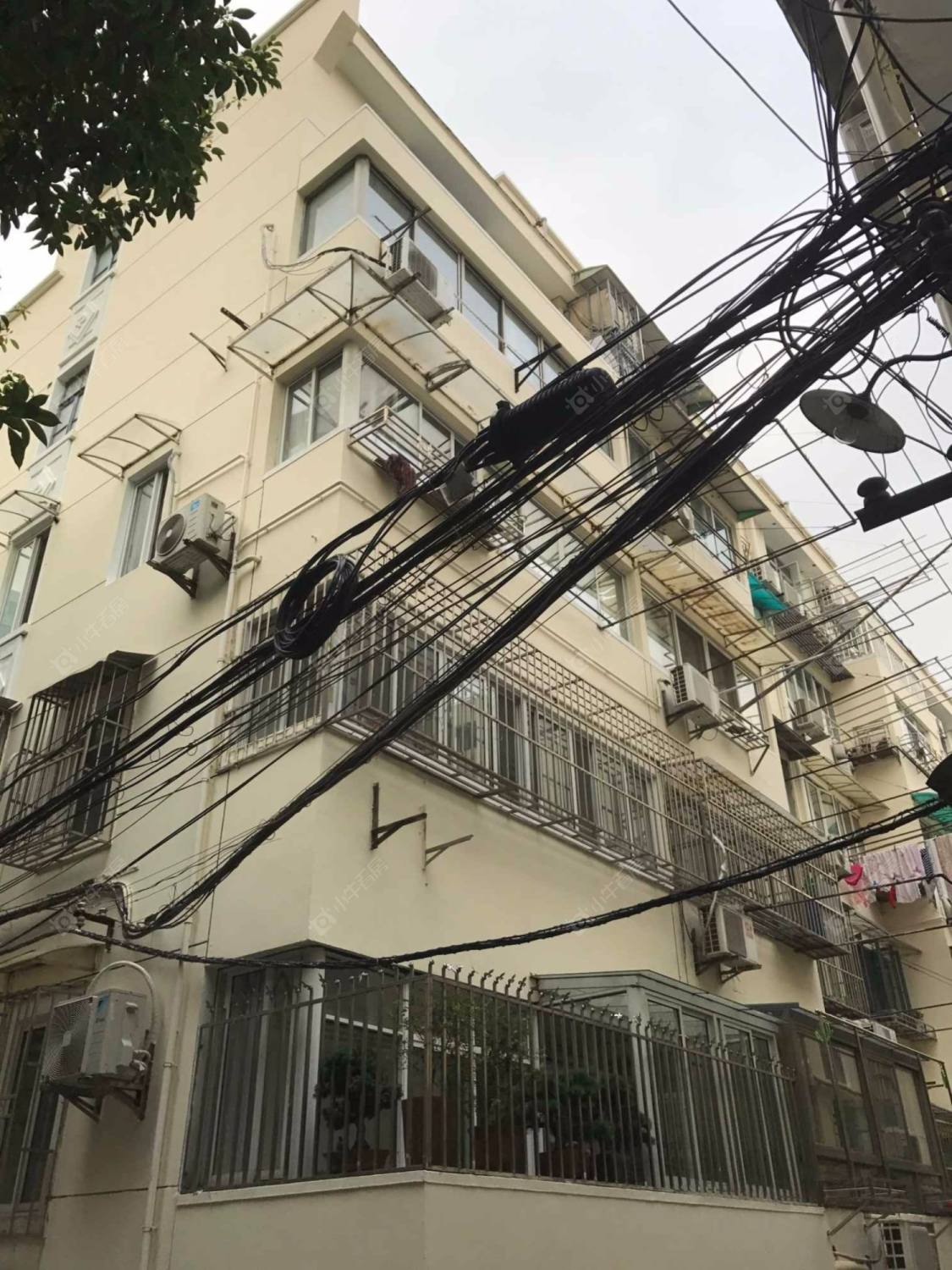 上海武定坊小区_武定坊小区null