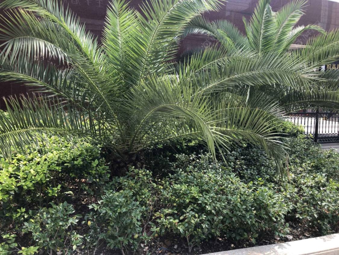 上海殷高路40弄小区_殷高路40弄小区null