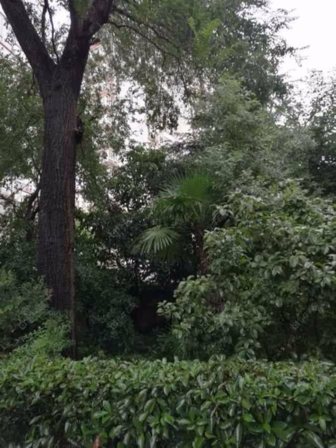 铁岭路10弄封面图_小牛看房