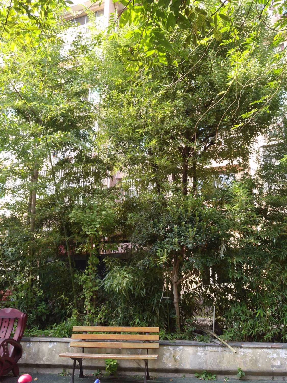 上海昌里都市庭院小区_昌里都市庭院小区null