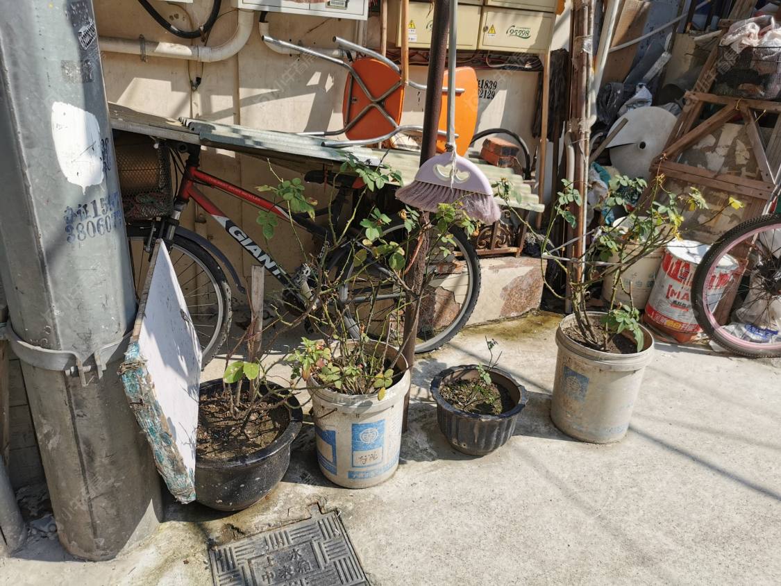 上海常德路小区_常德路小区null