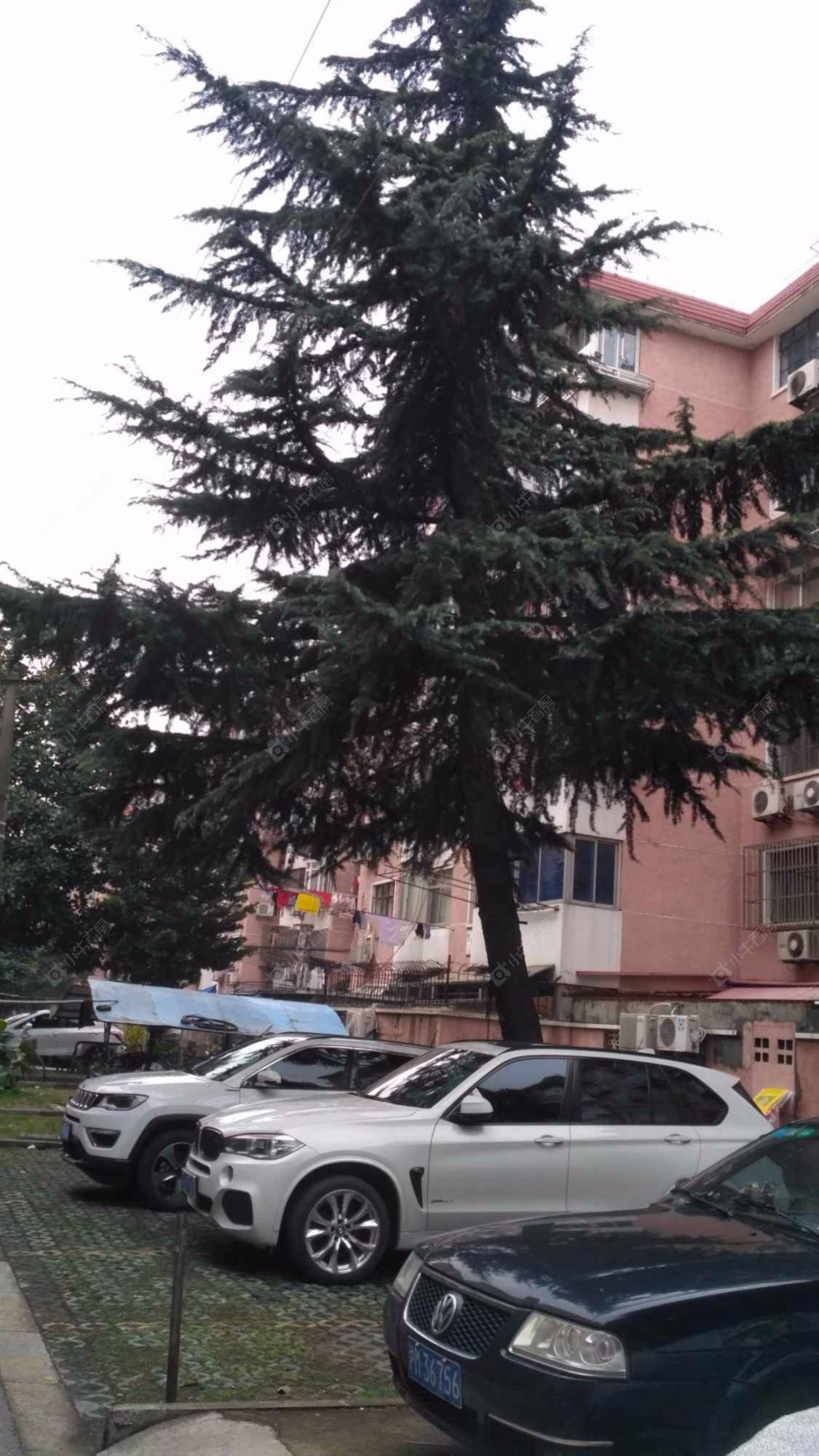 上海佳宝三村小区_佳宝三村小区null