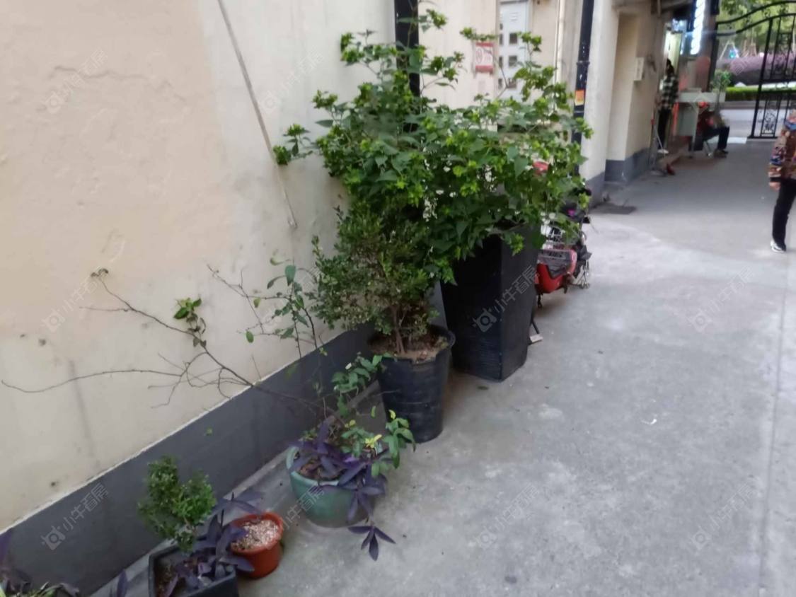 上海南昌路615弄小区_南昌路615弄小区null