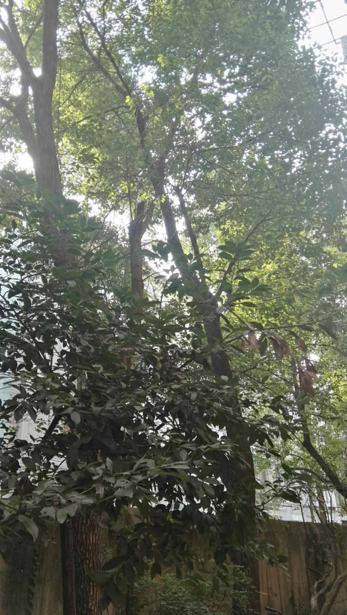 上海蓝宝石公寓小区_蓝宝石公寓小区null