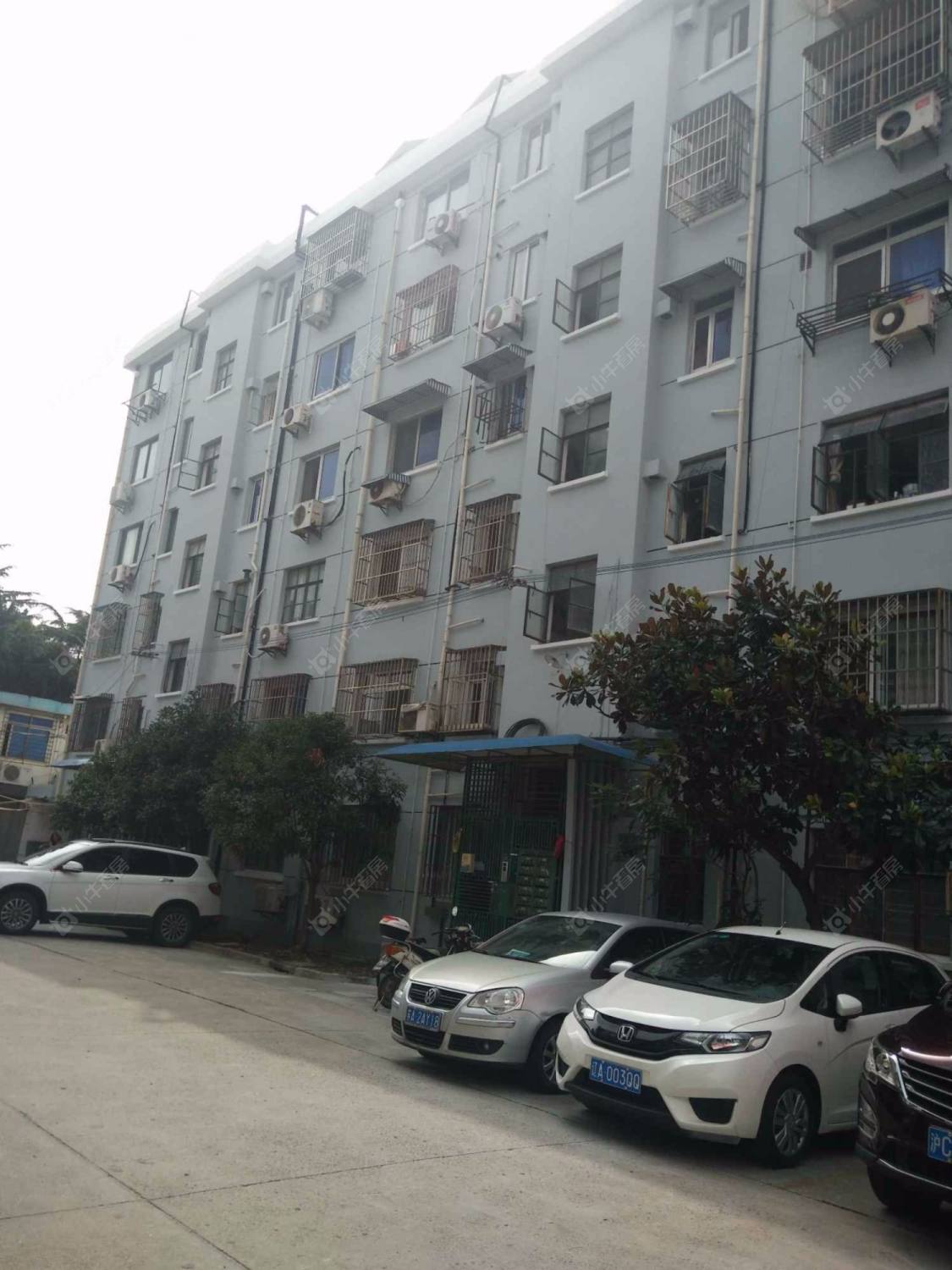 上海金星小区小区_金星小区小区null