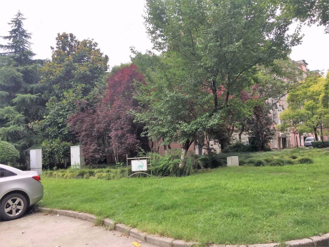 上海天馨花园小区_天馨花园小区实景图