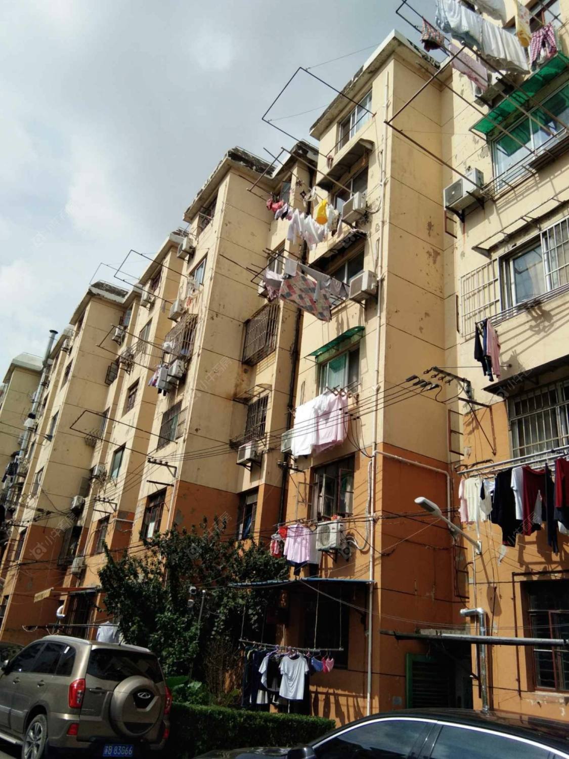 上海金美苑小区_小牛看房