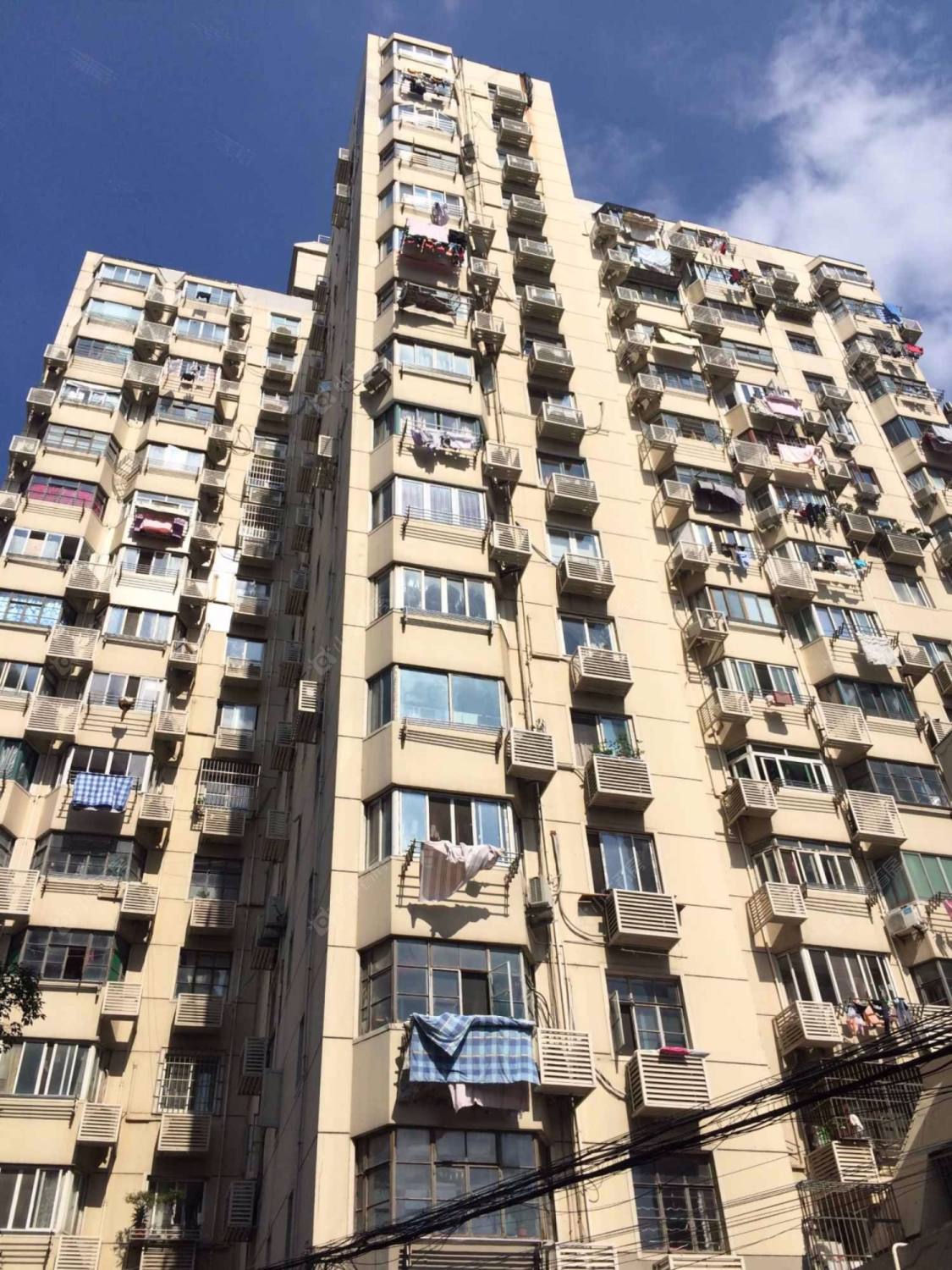 上海洪高小区小区_洪高小区小区null