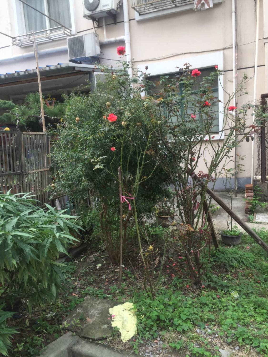 上海莘西路156弄小区_莘西路156弄小区null