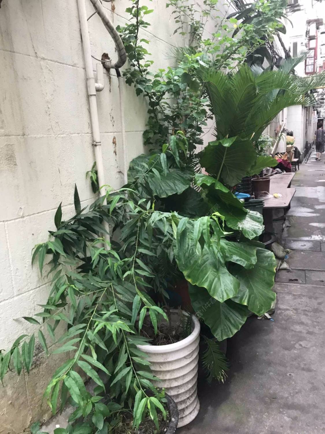 上海西康路902弄小区_西康路902弄小区实景图