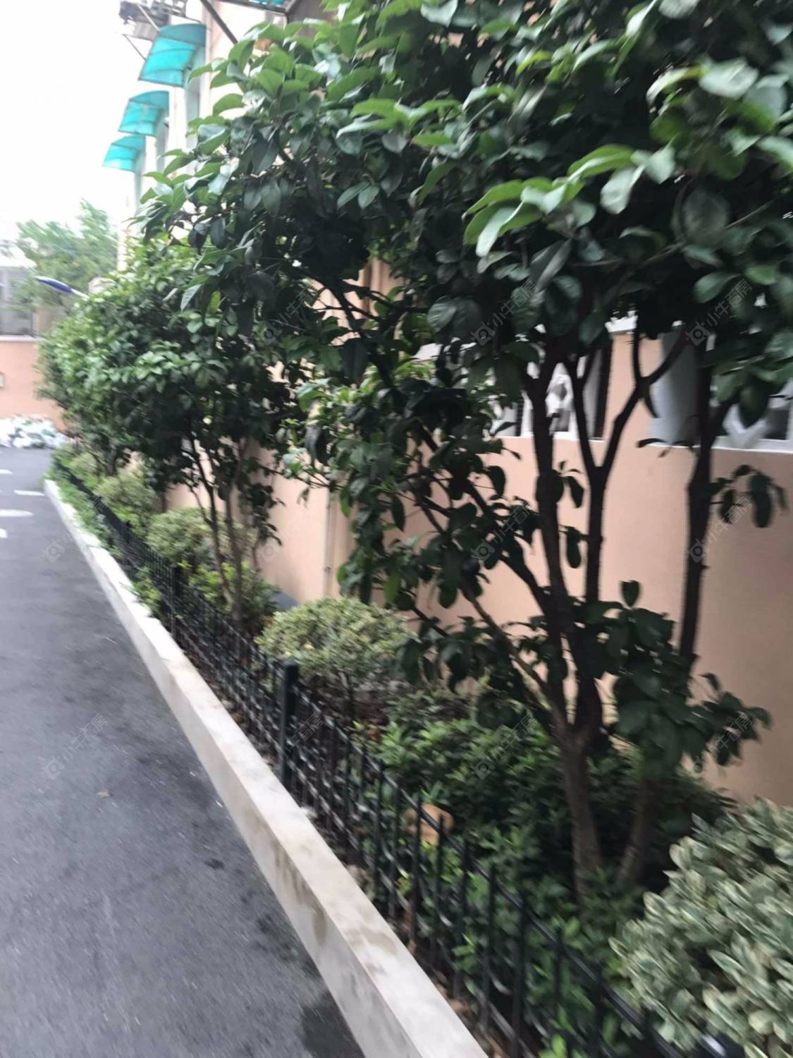 上海南洋小区540弄小区_南洋小区540弄小区null