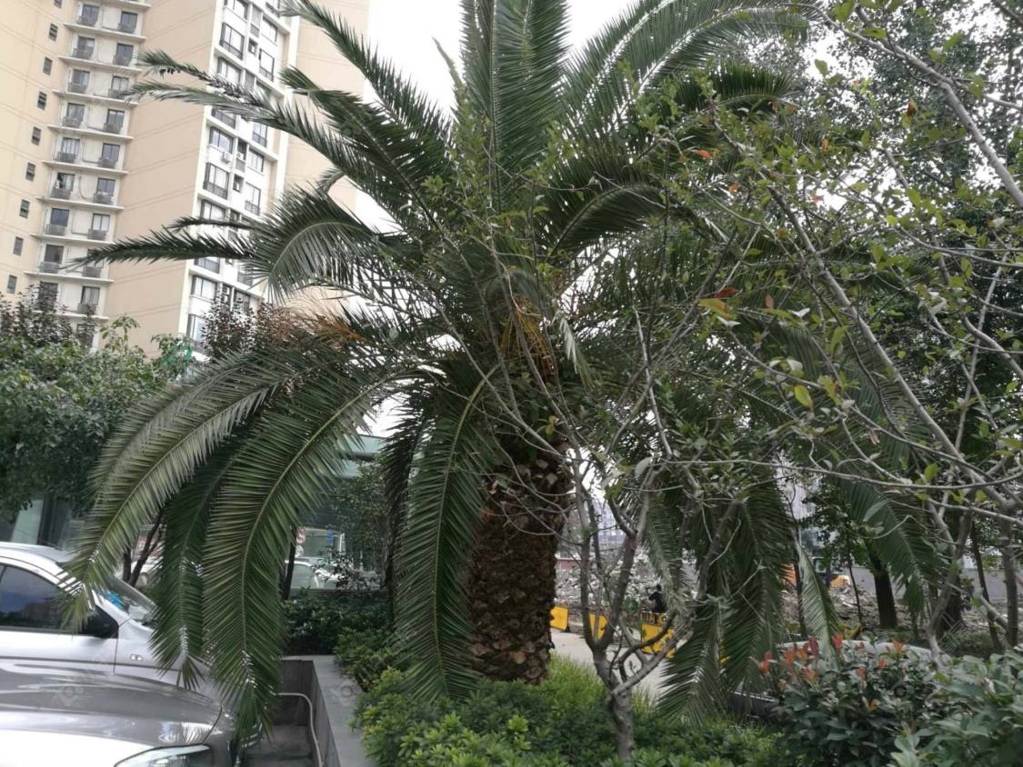 上海绿地海悦小区_绿地海悦小区null