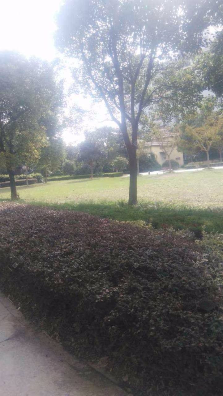 华亭新苑封面图_小牛看房