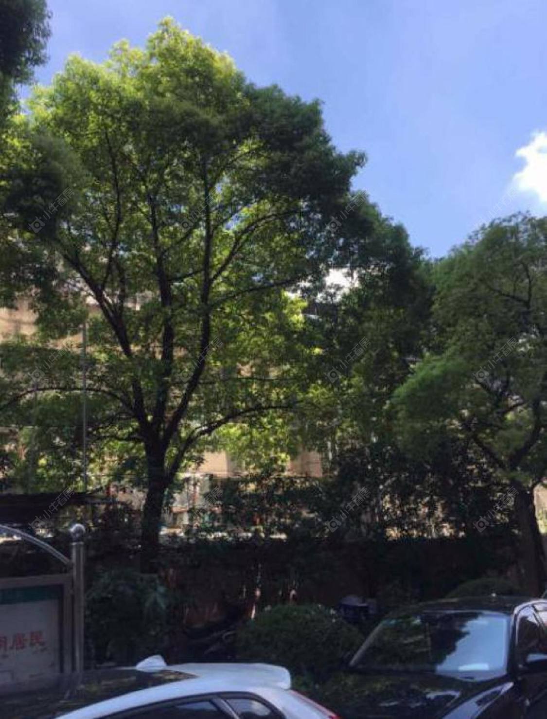 上海宝通公寓小区_宝通公寓小区null