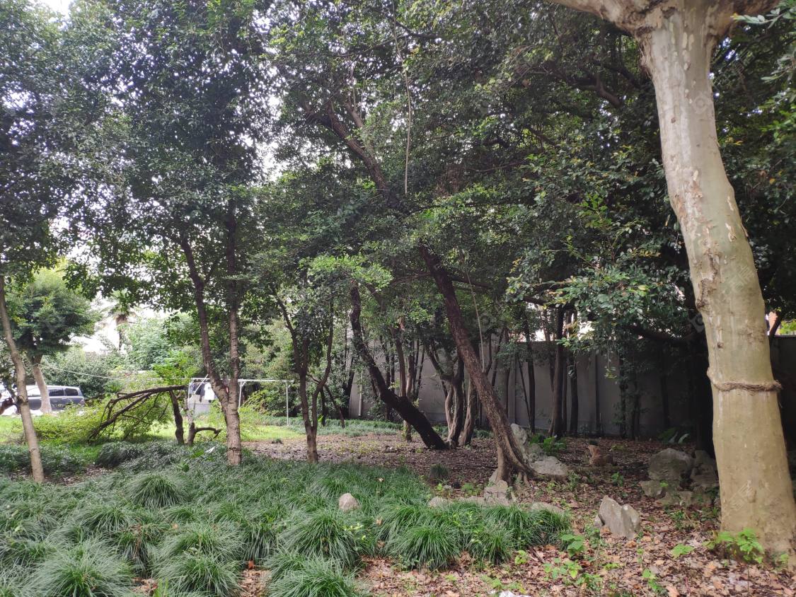 上海复兴中路1325弄小区_复兴中路1325弄小区null