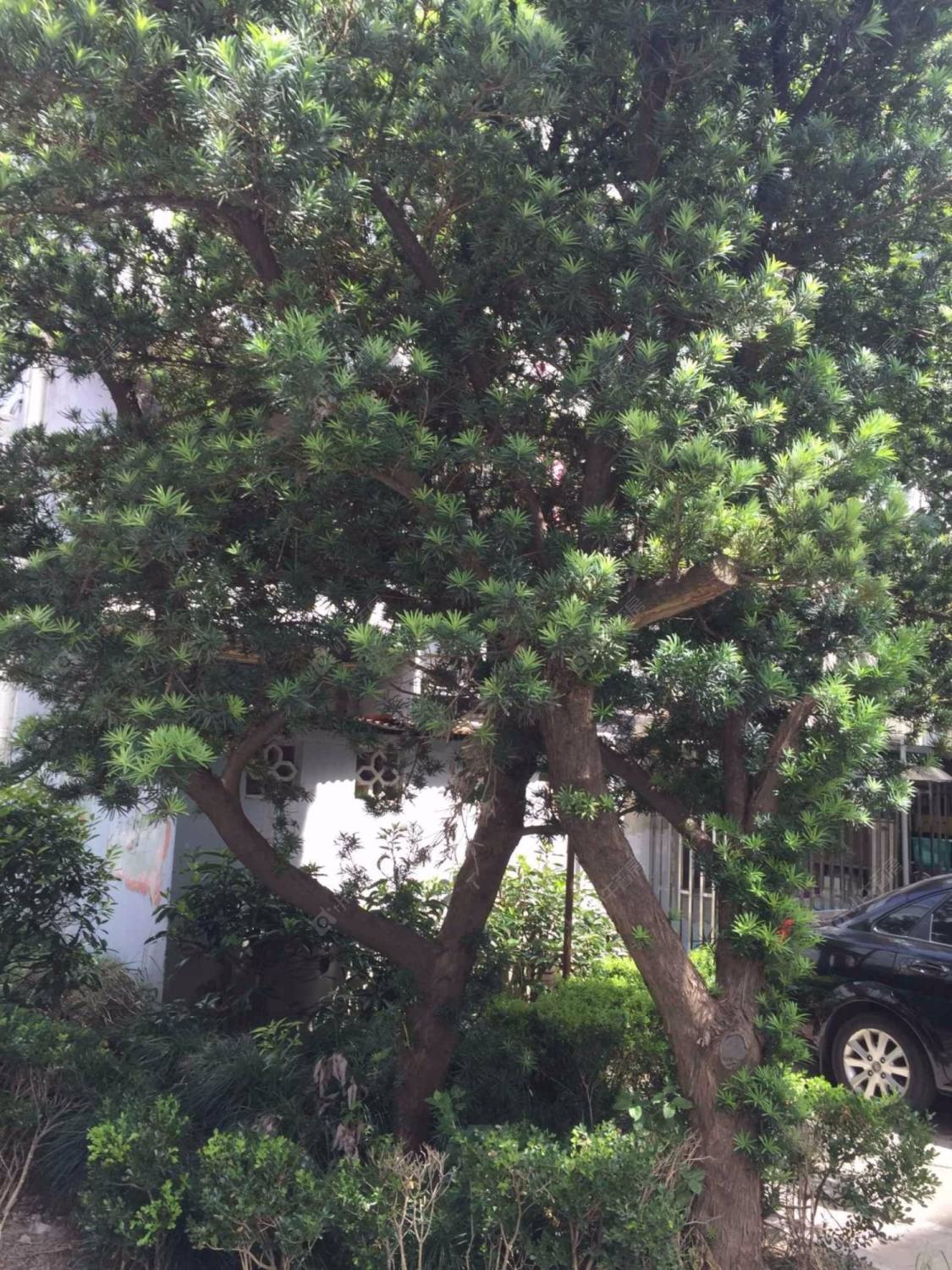 上海德州二村小区_小牛看房