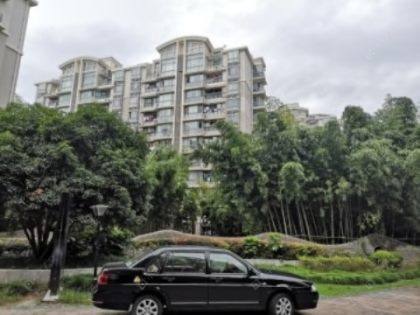 上海象源丽都小区_象源丽都小区null