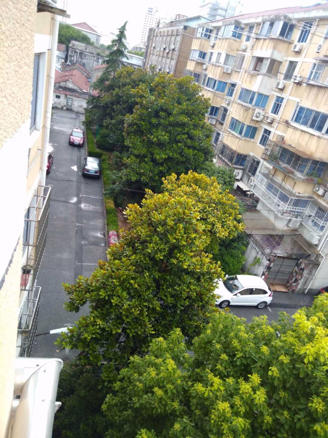 上海华盛新村小区_华盛新村小区null