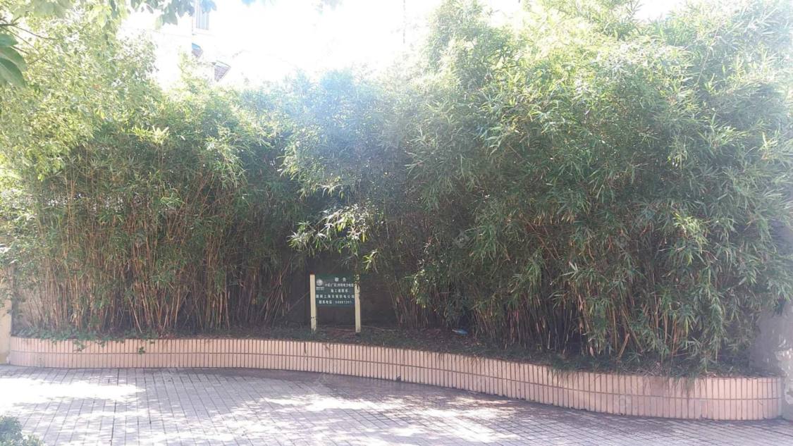 上海爱中爱华公寓小区_爱中爱华公寓小区实景图