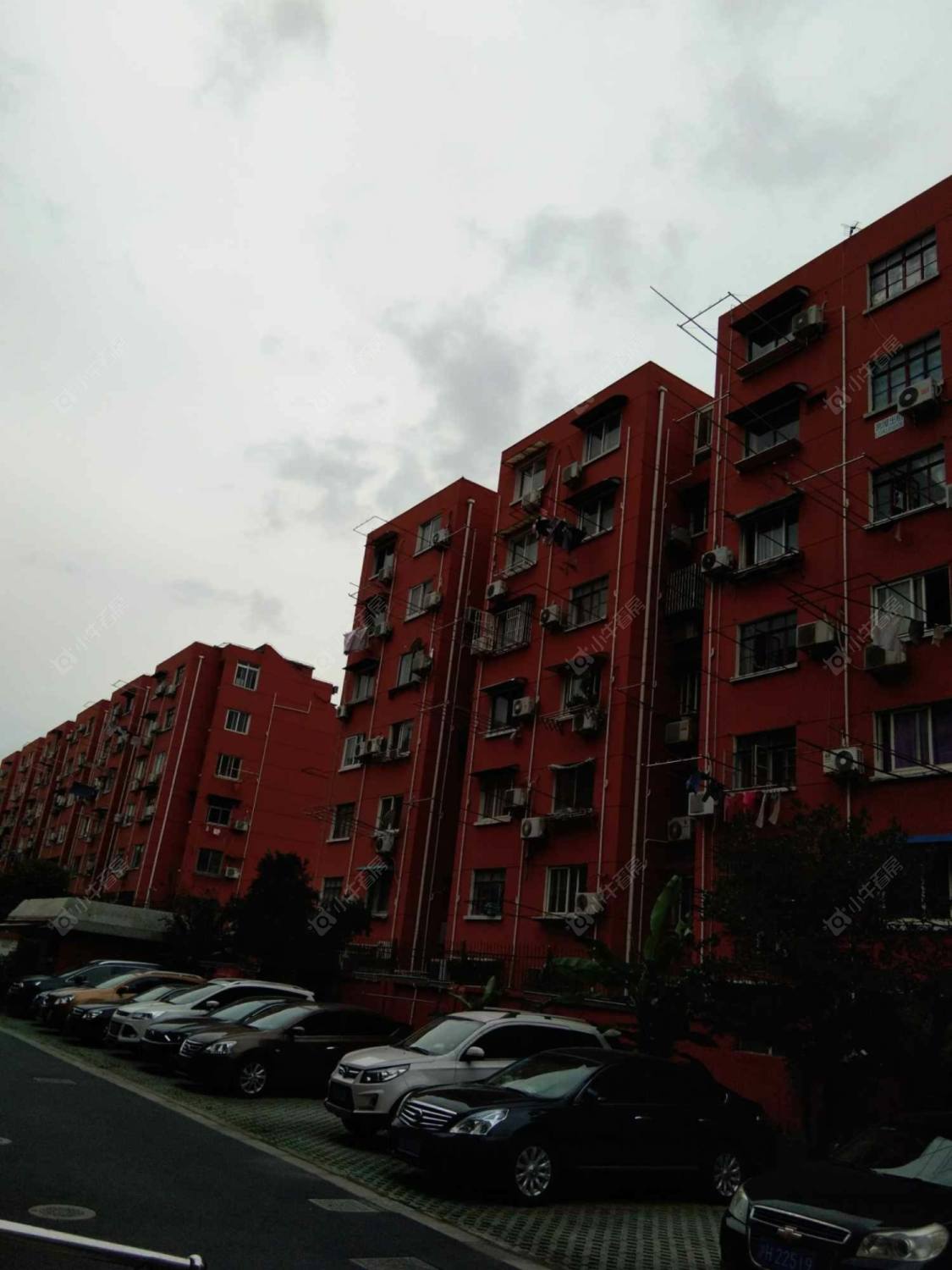 上海金丰小区小区_金丰小区小区null