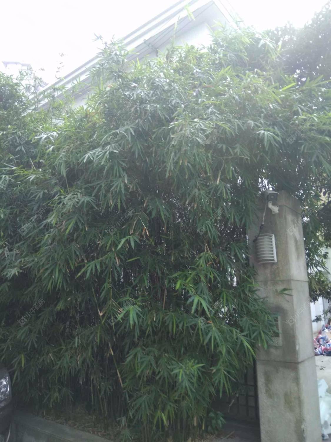 上海皇家公寓小区_皇家公寓小区null