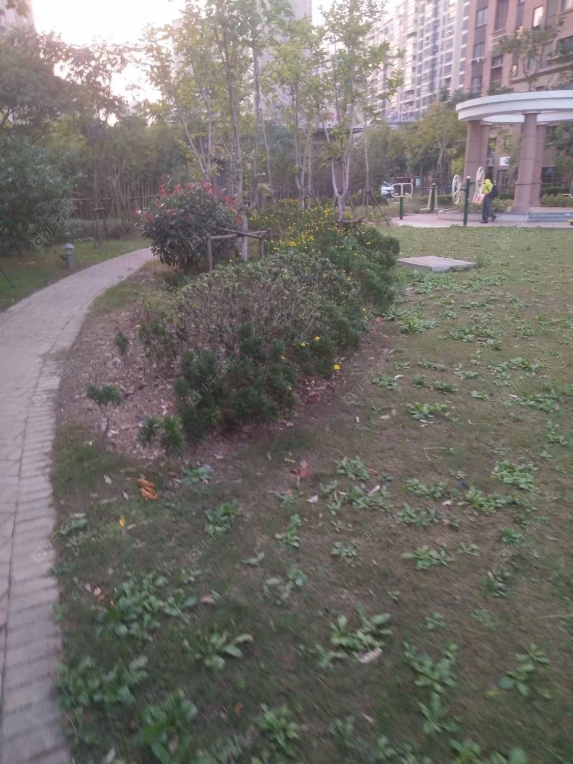 嘉海雅苑西区封面图_小牛看房