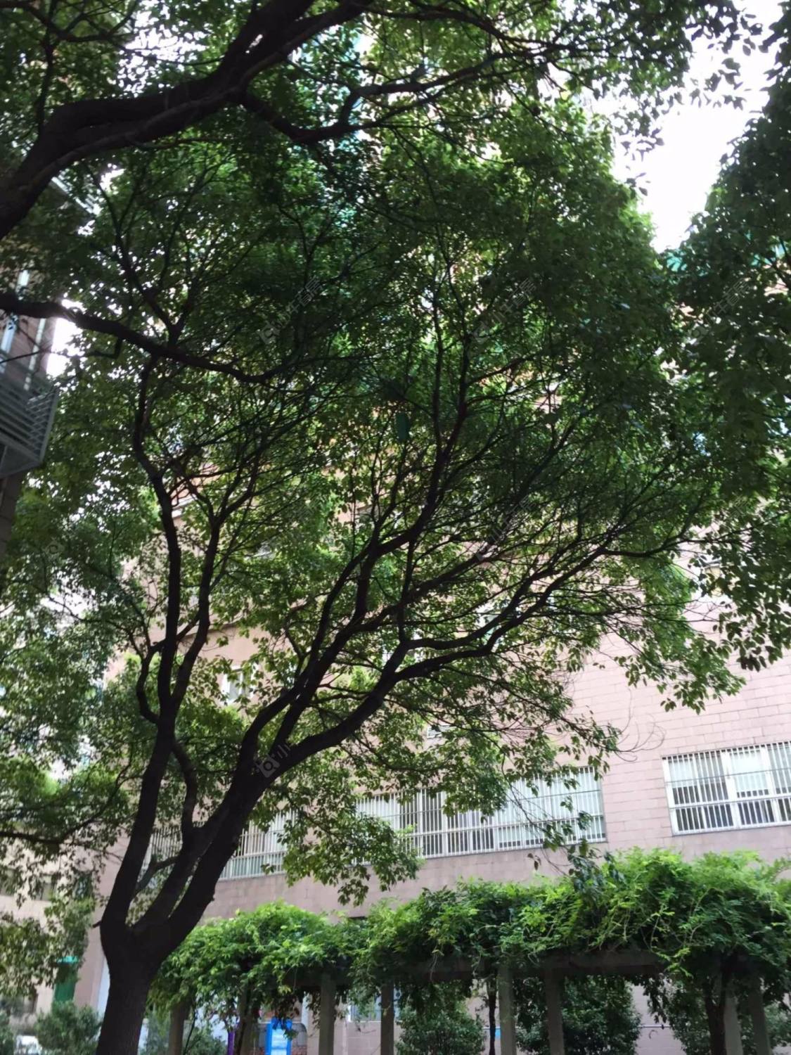 上海兴亚广场小区_兴亚广场小区null