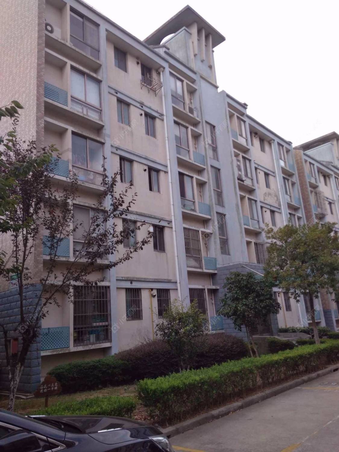 上海界龙阳光苑东区小区_界龙阳光苑东区小区null