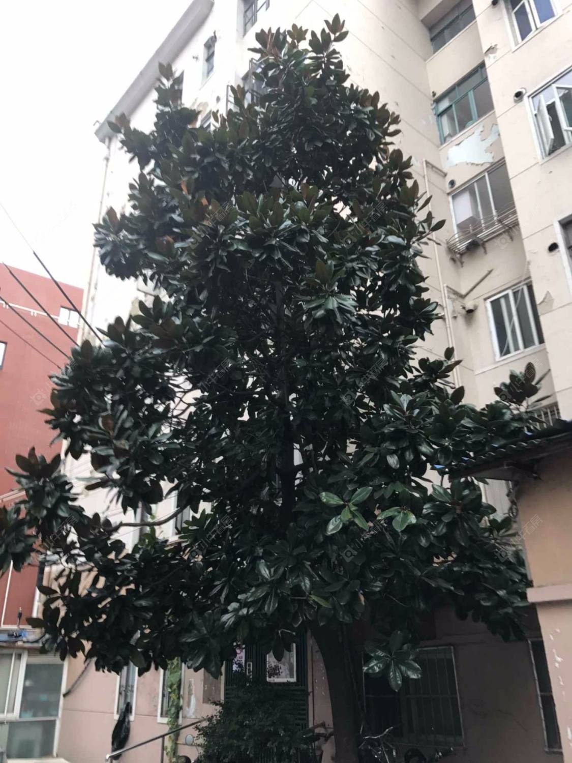 上海老教师公寓小区_老教师公寓小区null