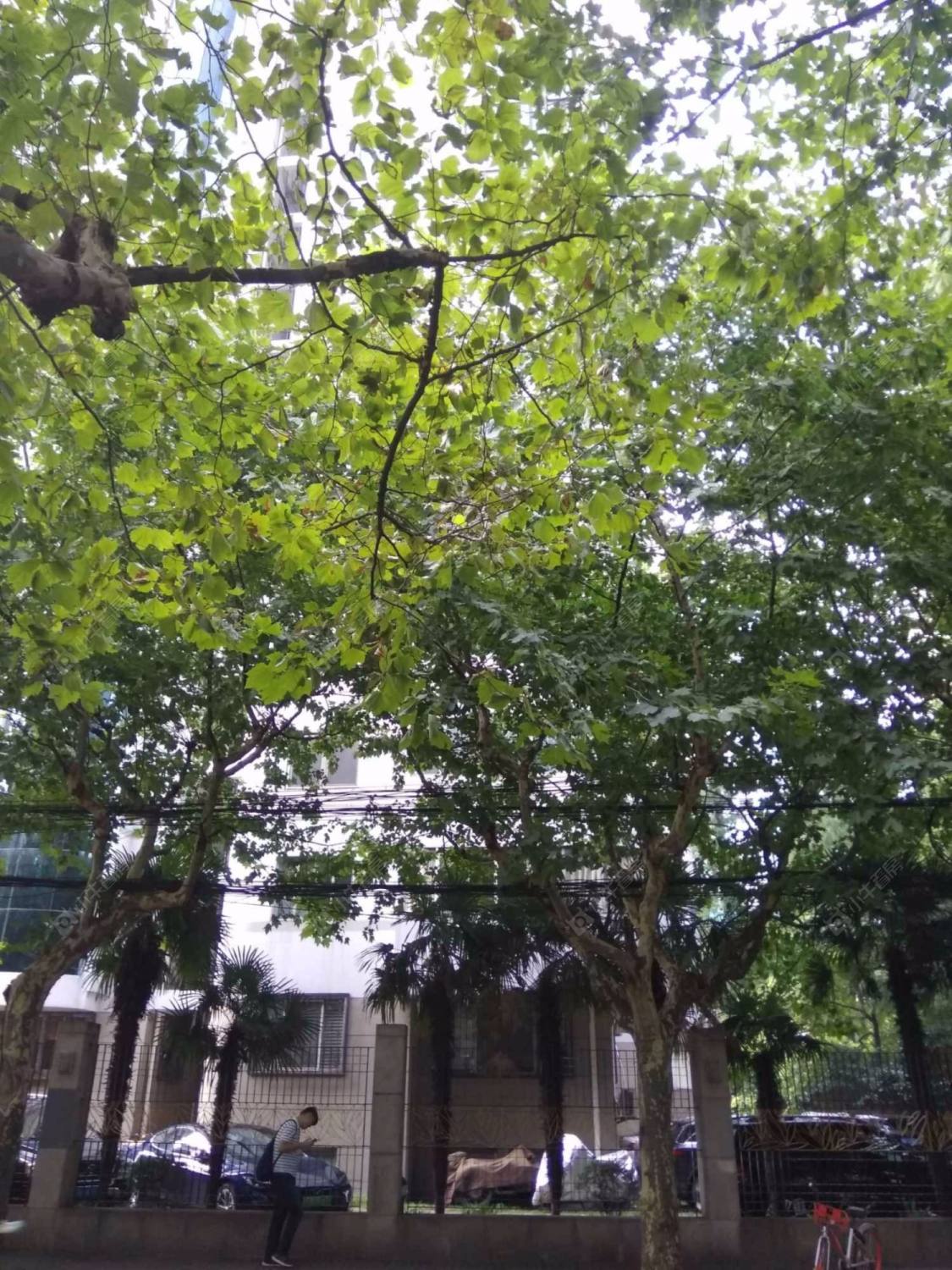 上海皇家公寓小区_皇家公寓小区null