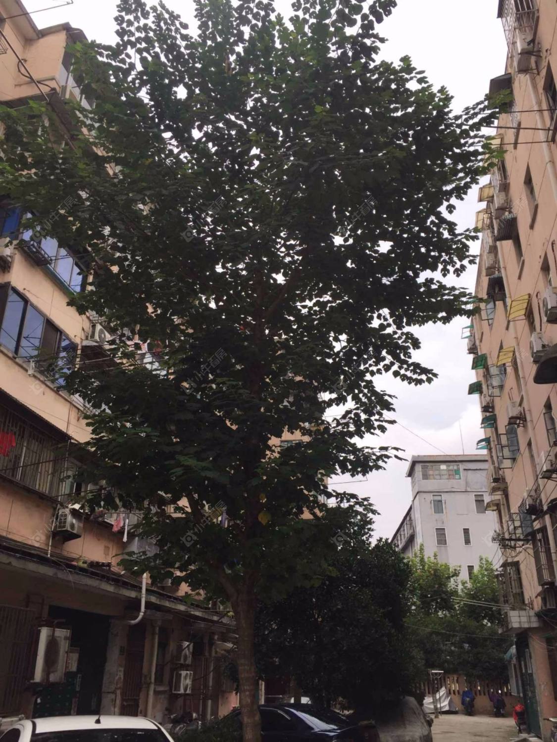 上海止园小区小区_小牛看房