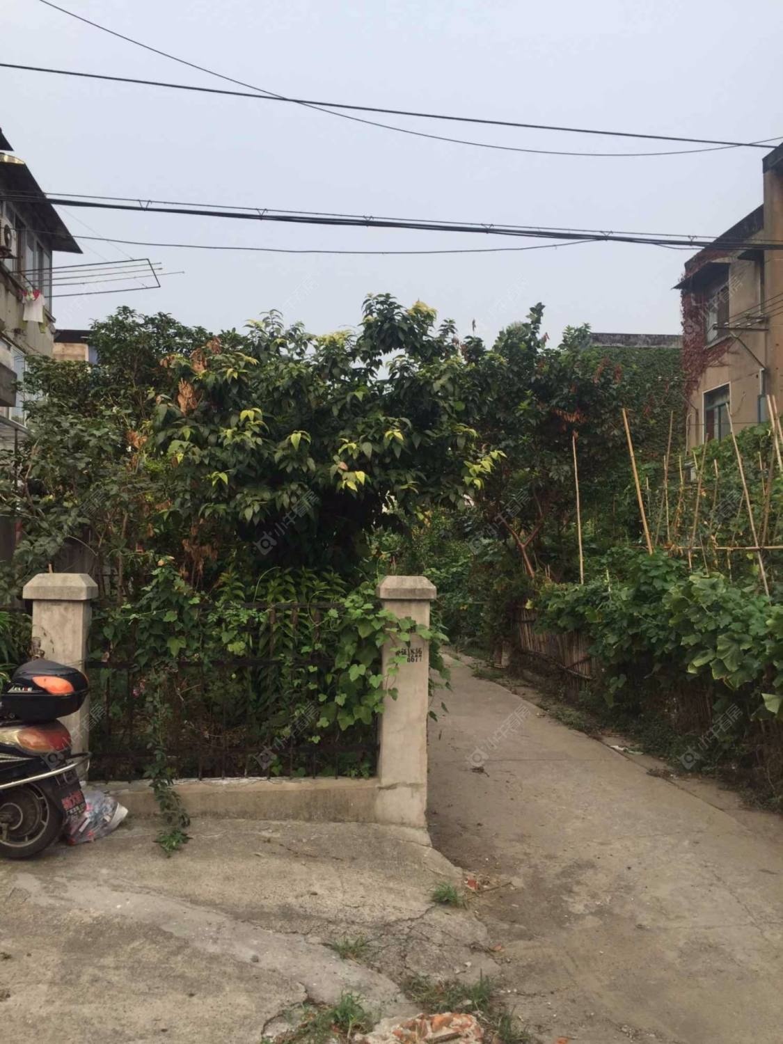 上海三门路555弄小区_三门路555弄小区null