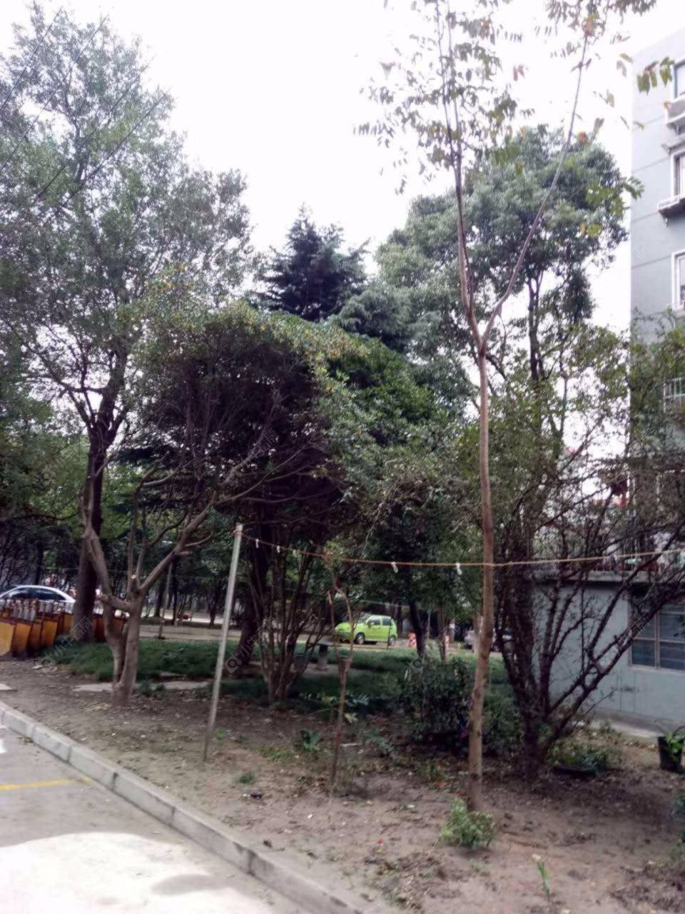 上海乐业二村354弄小区_乐业二村354弄小区null